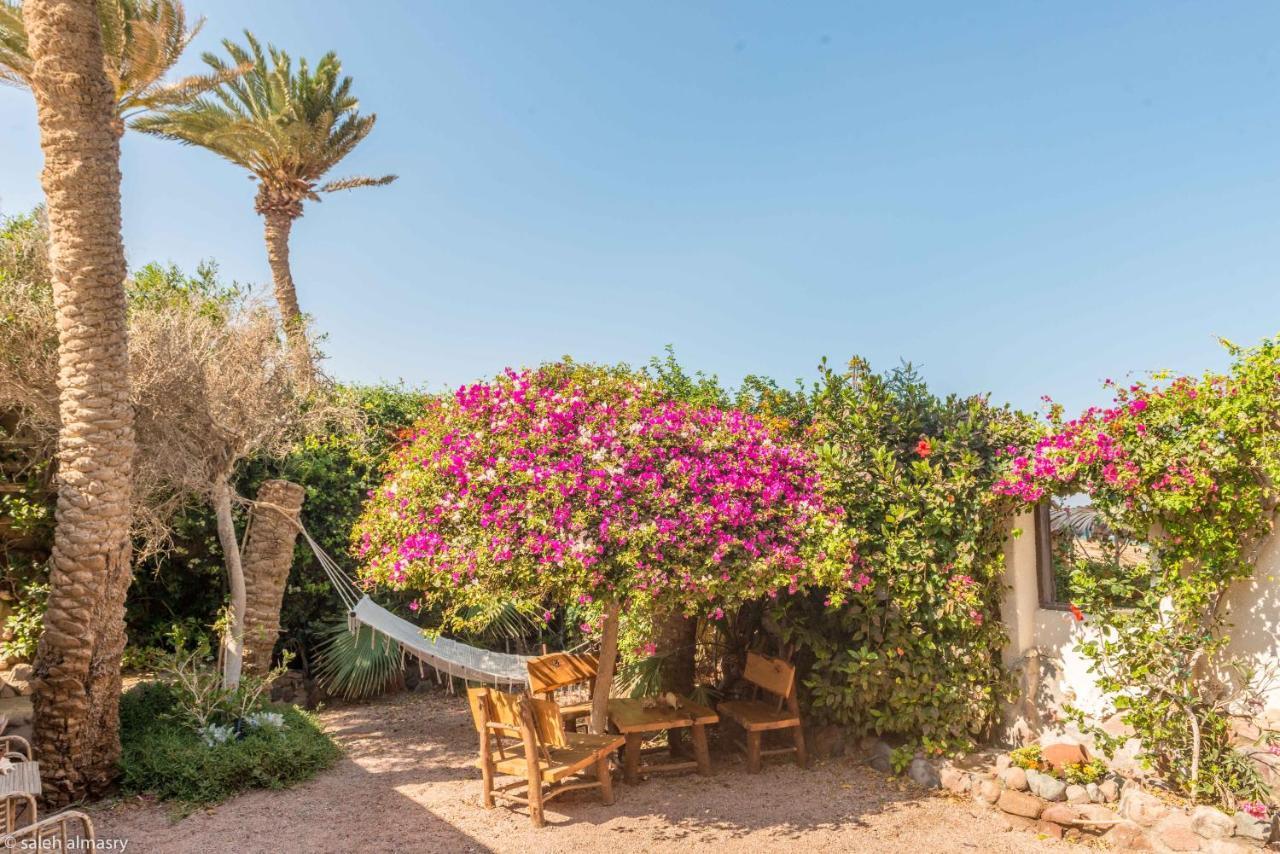 Beit Theresa Dahab Exterior photo